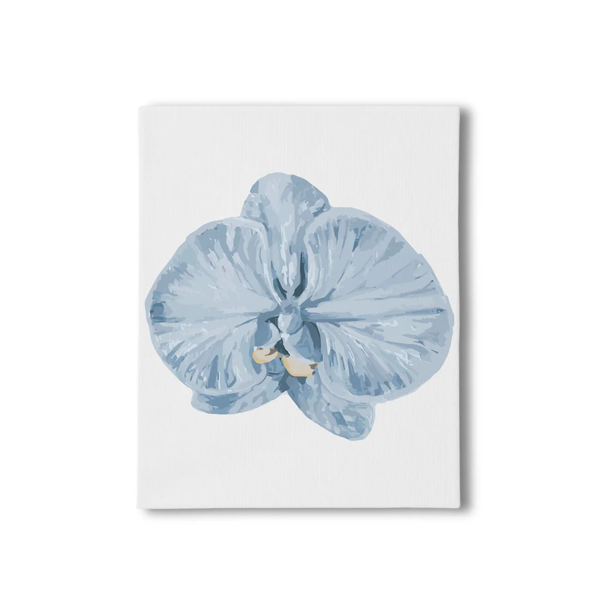 Orchid III
