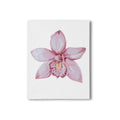 Orchid II