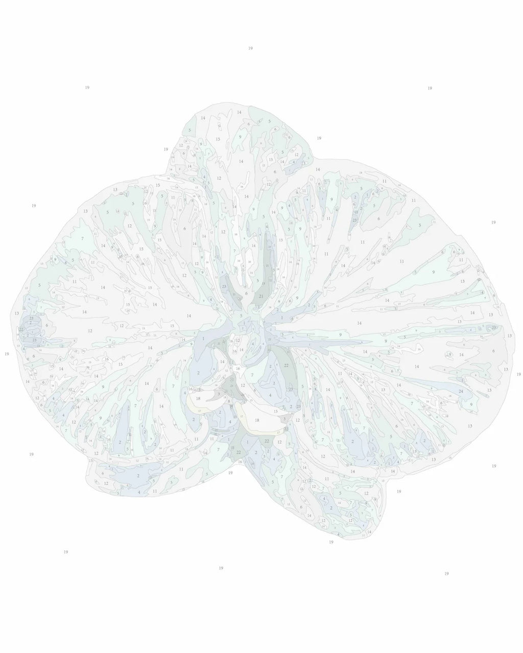 Orchid III