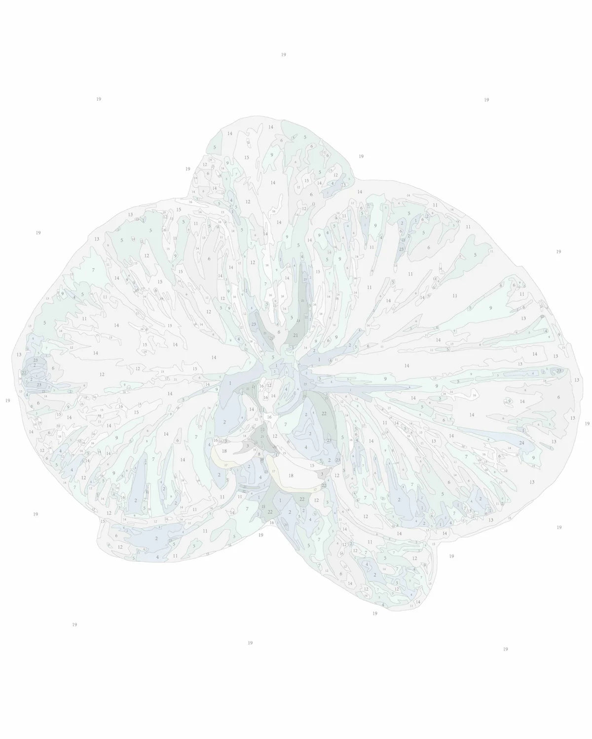 Orchid III