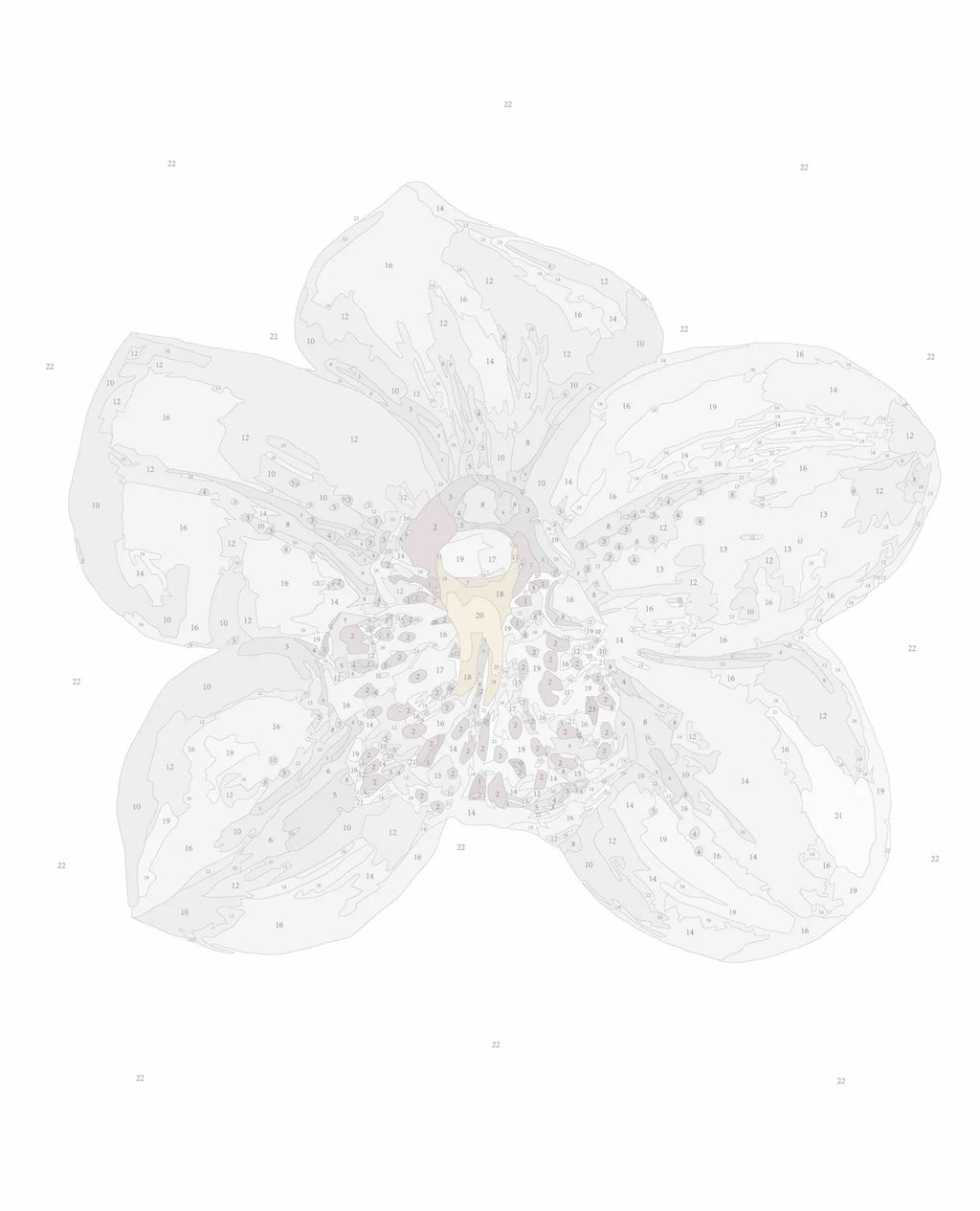 Orchid I