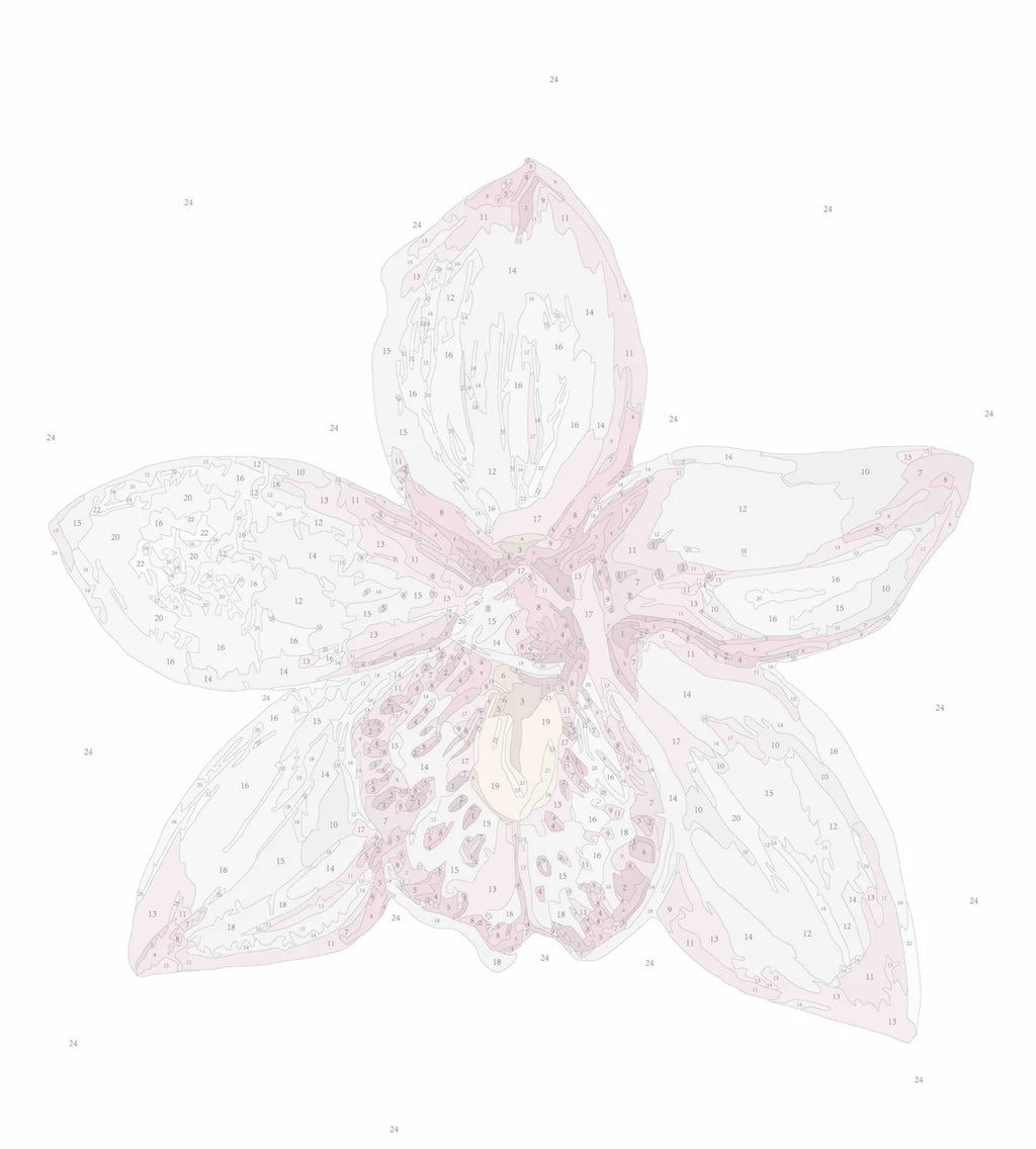 Orchid II