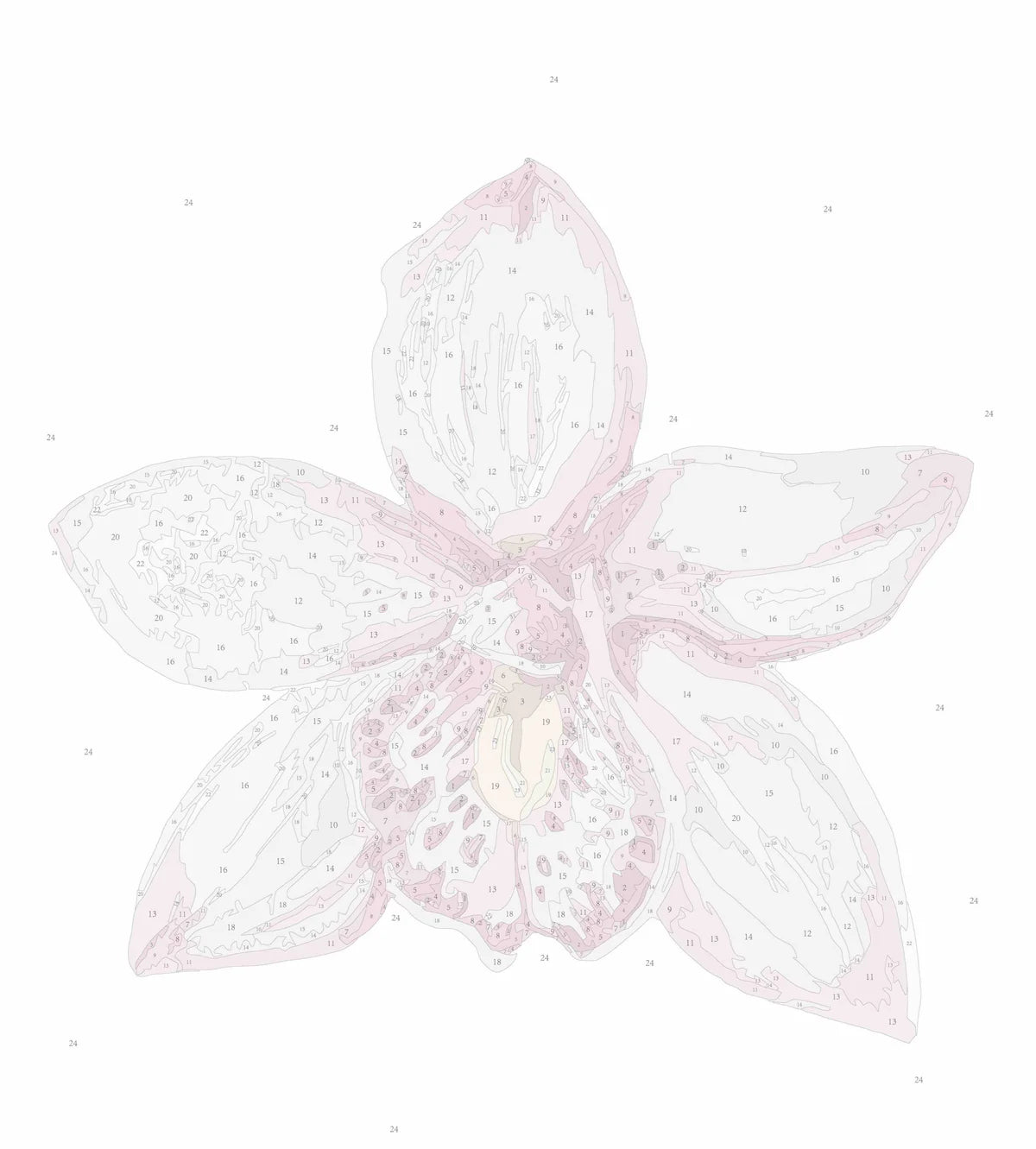 Orchid II